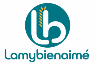 Logo de Lamybienaimé